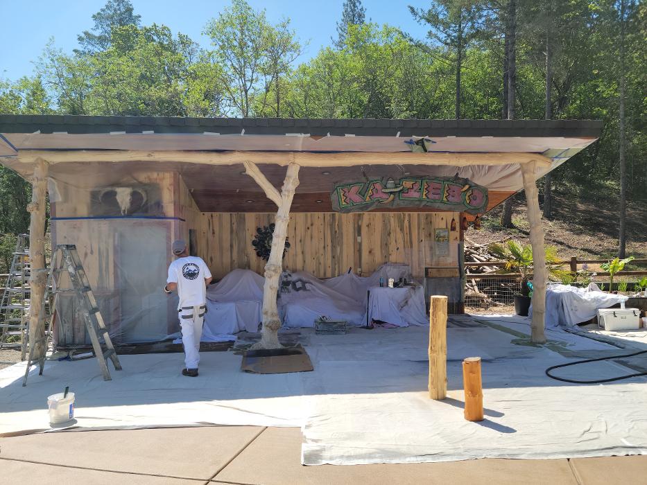 Chris Silva Painting Image