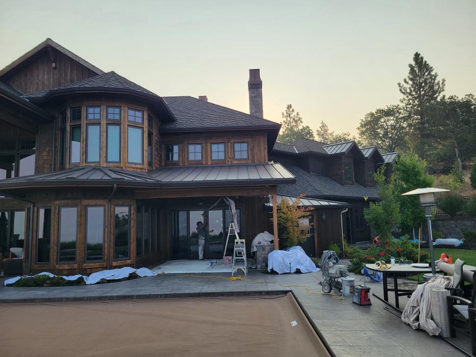 Chris Silva Painting Image