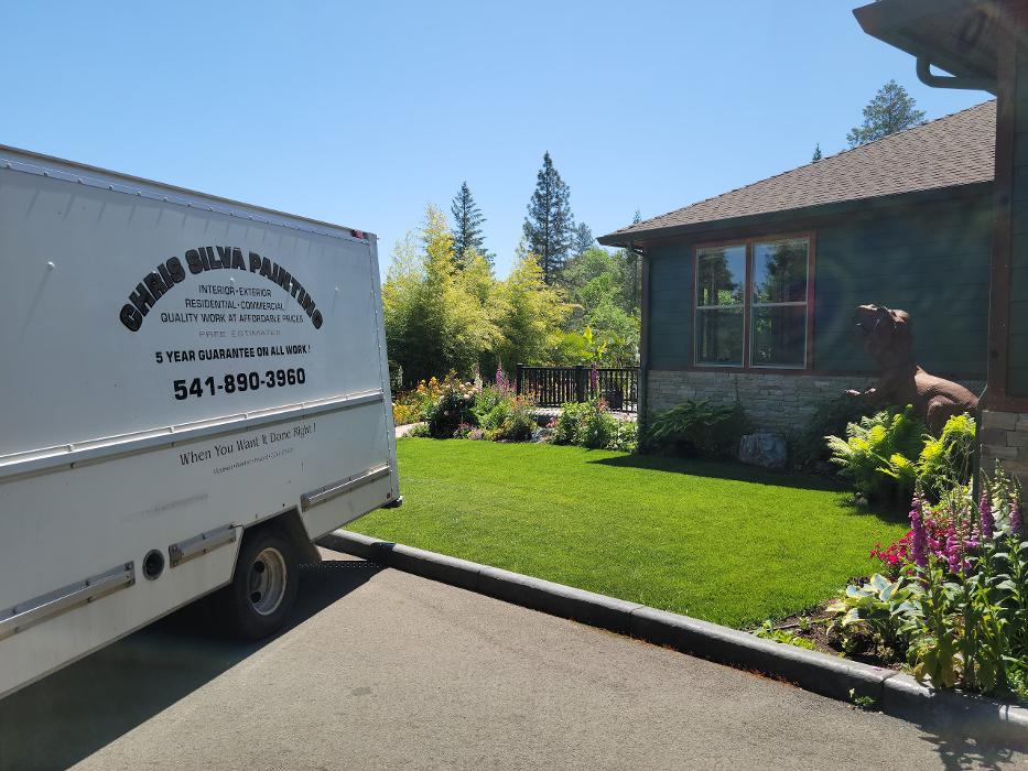 Chris Silva Painting Image