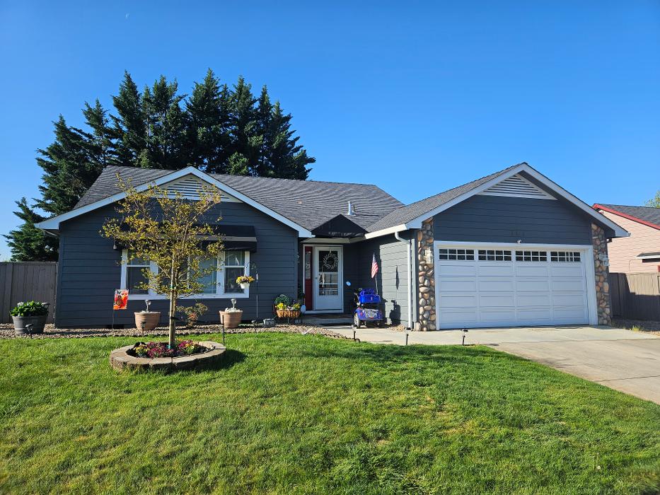 Chris Silva Painting Image