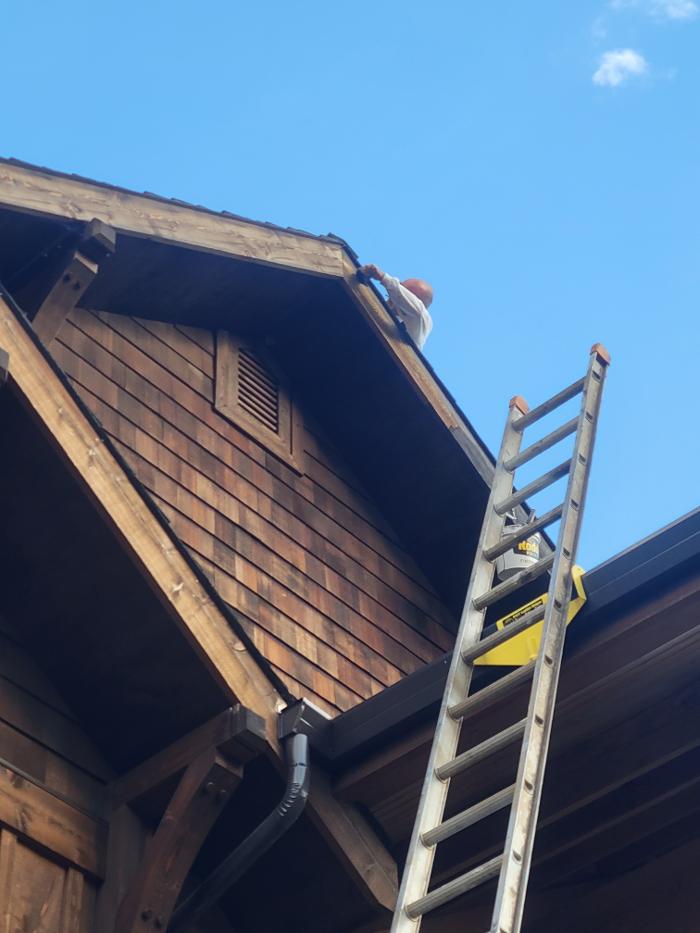 Chris Silva Painting Image