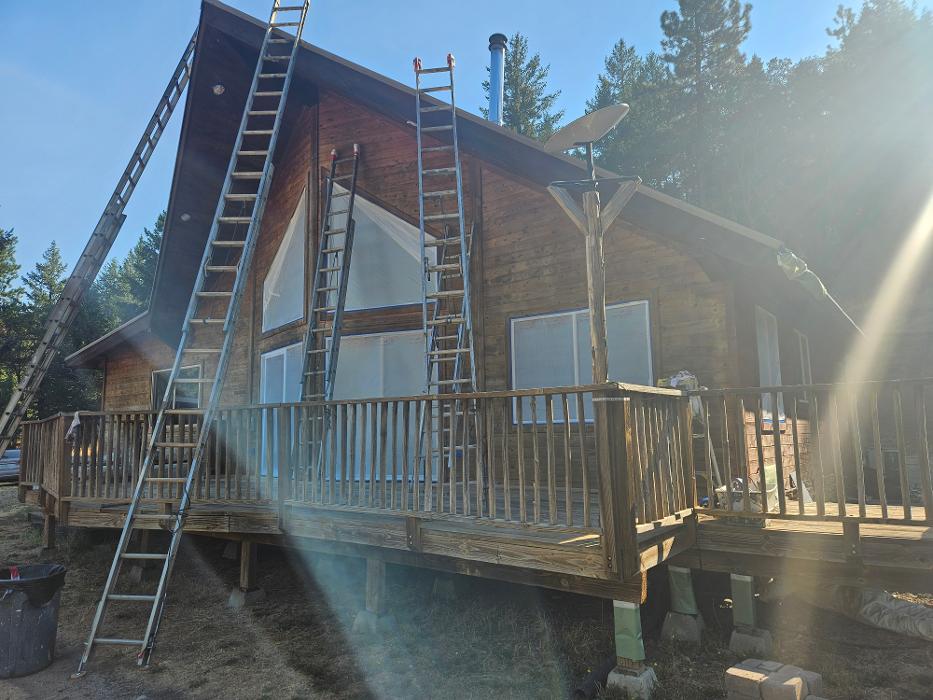 Chris Silva Painting Image