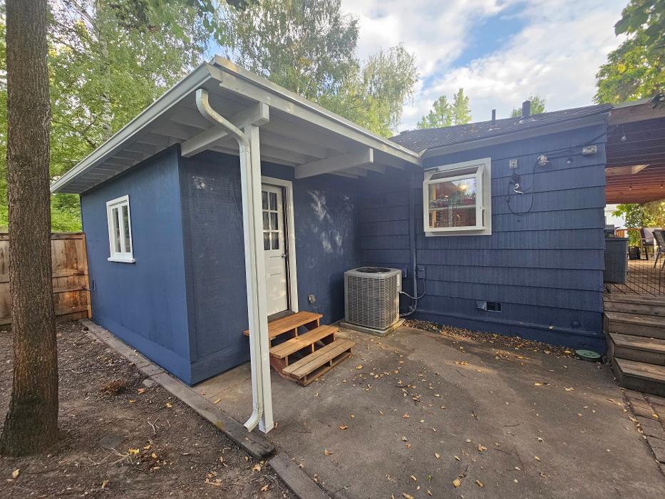 Chris Silva Painting Image