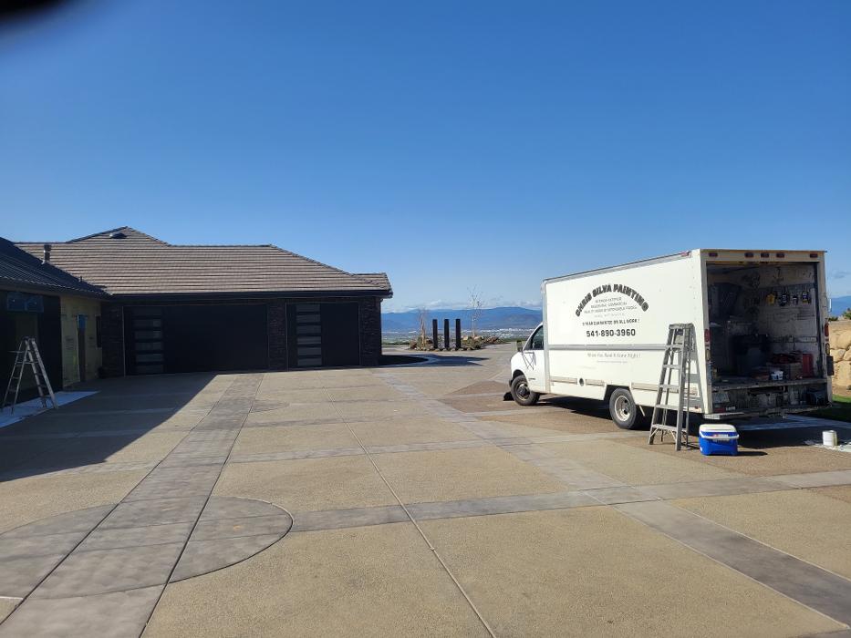 Chris Silva Painting Image