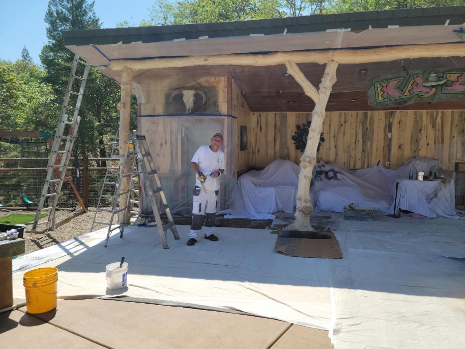 Chris Silva Painting Image