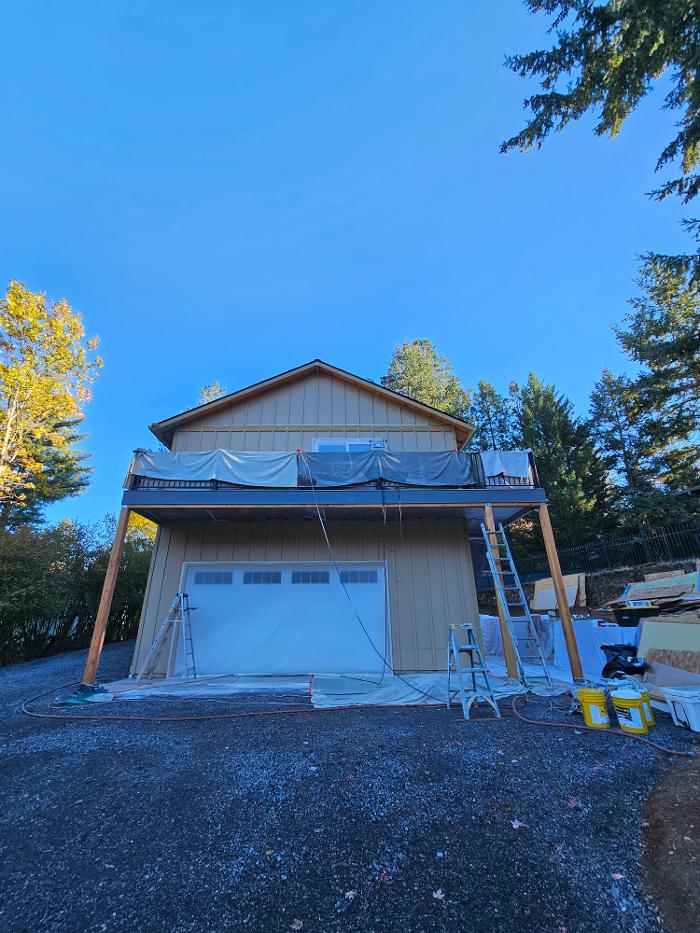 Chris Silva Painting Image