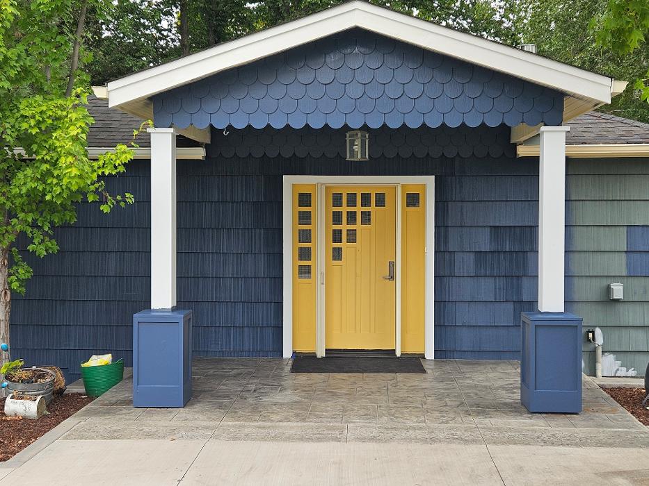 Chris Silva Painting Image