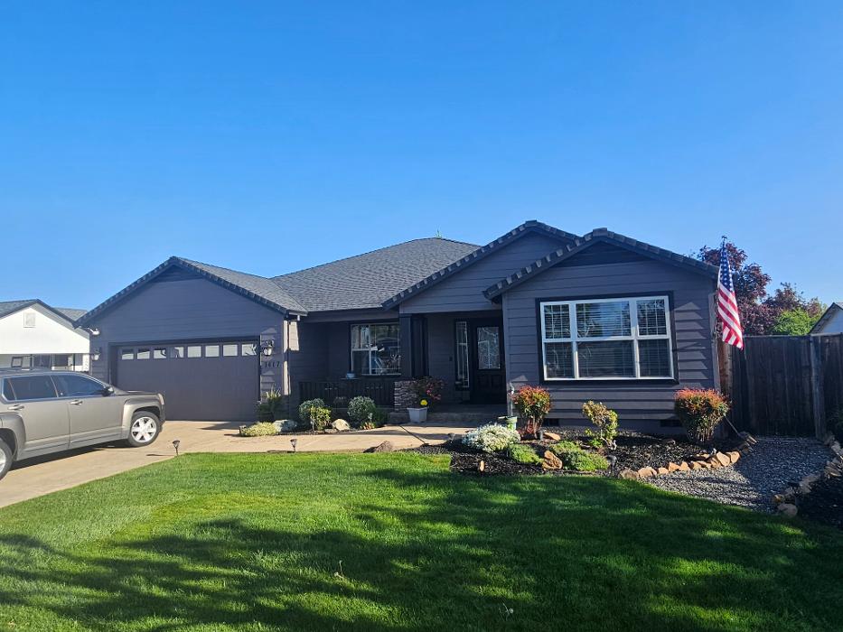 Chris Silva Painting Image