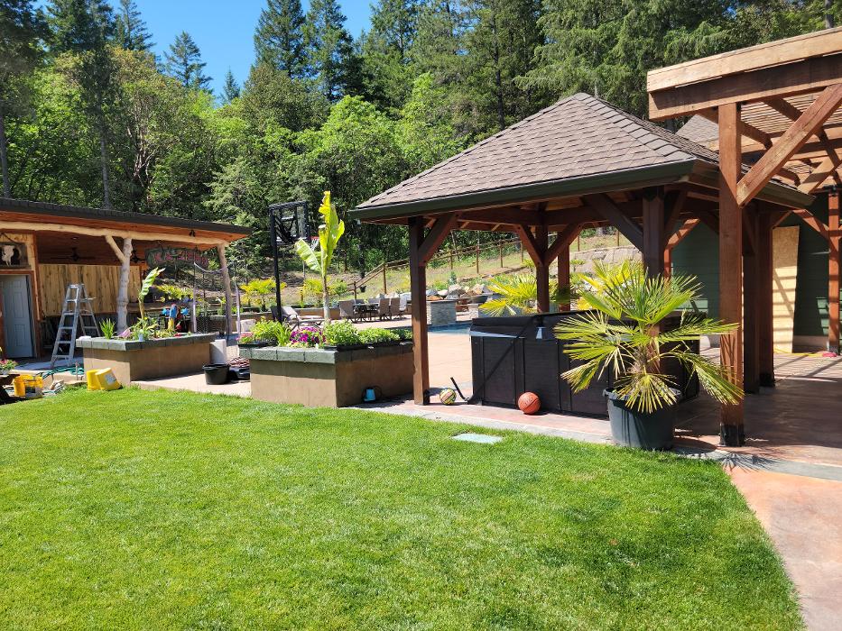 Chris Silva Painting Image