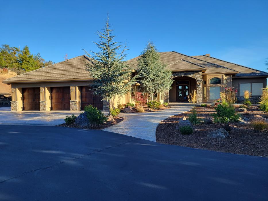 Chris Silva Painting Image