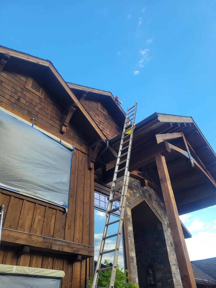 Chris Silva Painting Image