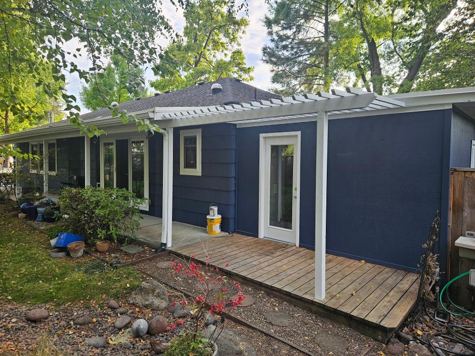 Chris Silva Painting Image