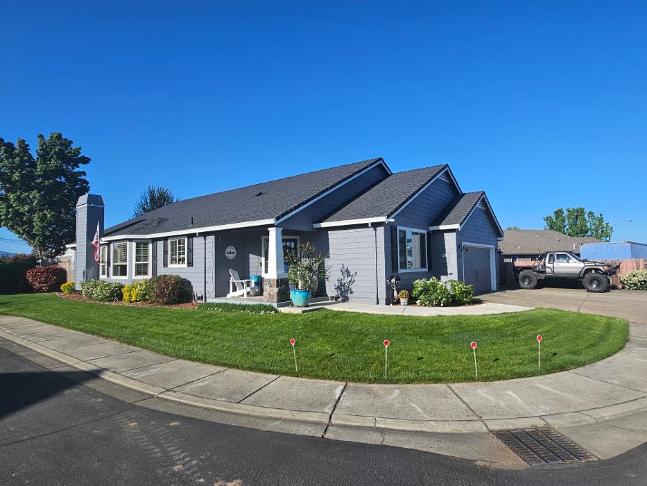 Chris Silva Painting Image