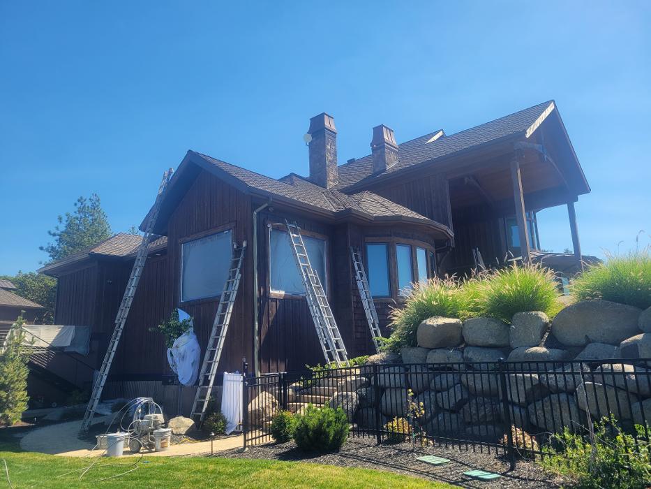 Chris Silva Painting Image