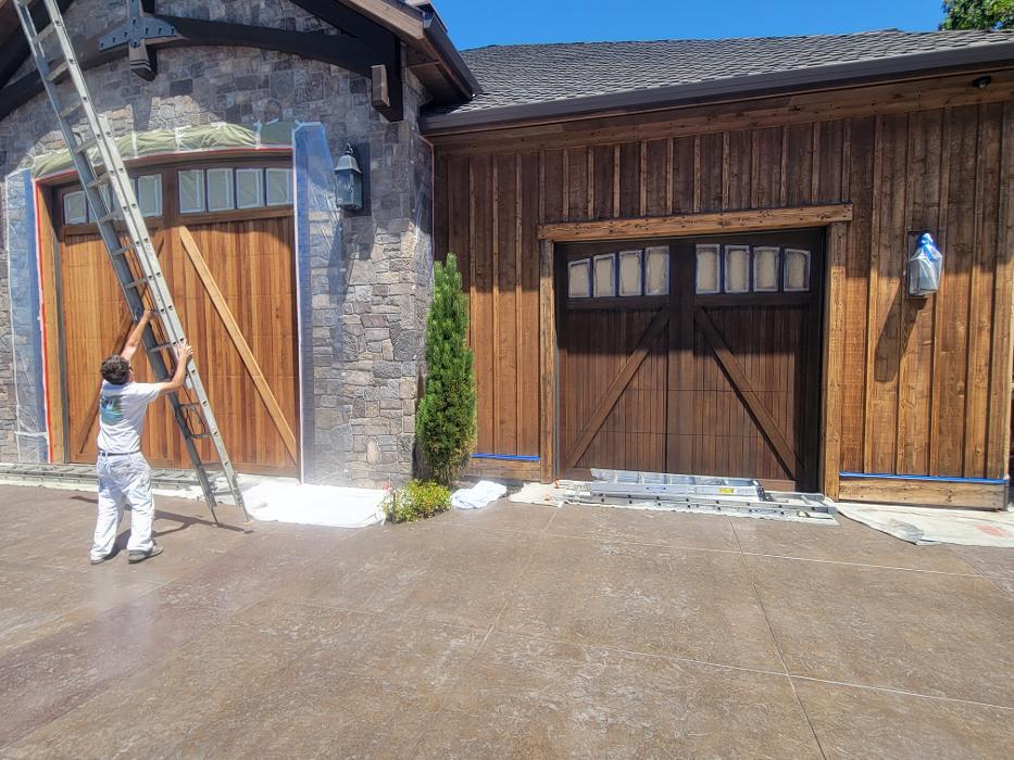 Chris Silva Painting Image