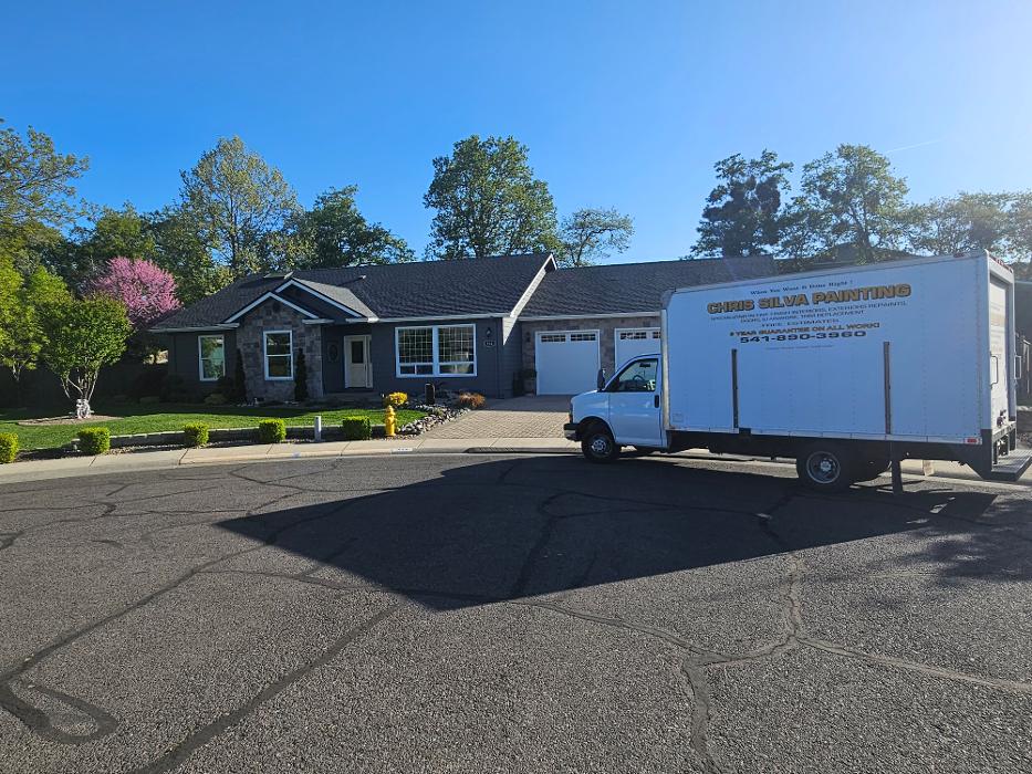 Chris Silva Painting Image