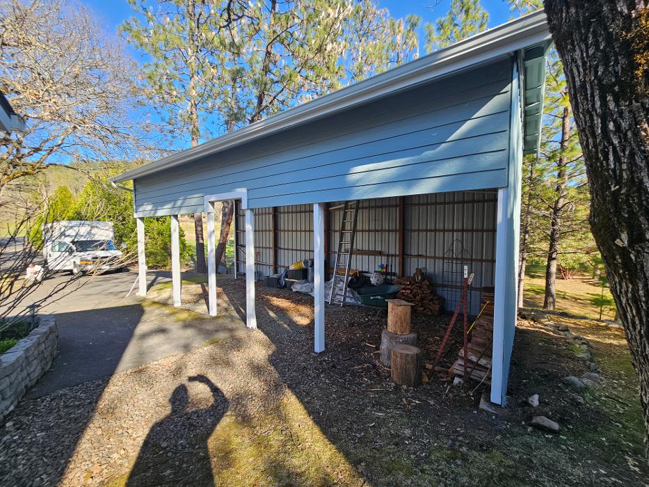 Chris Silva Painting Image