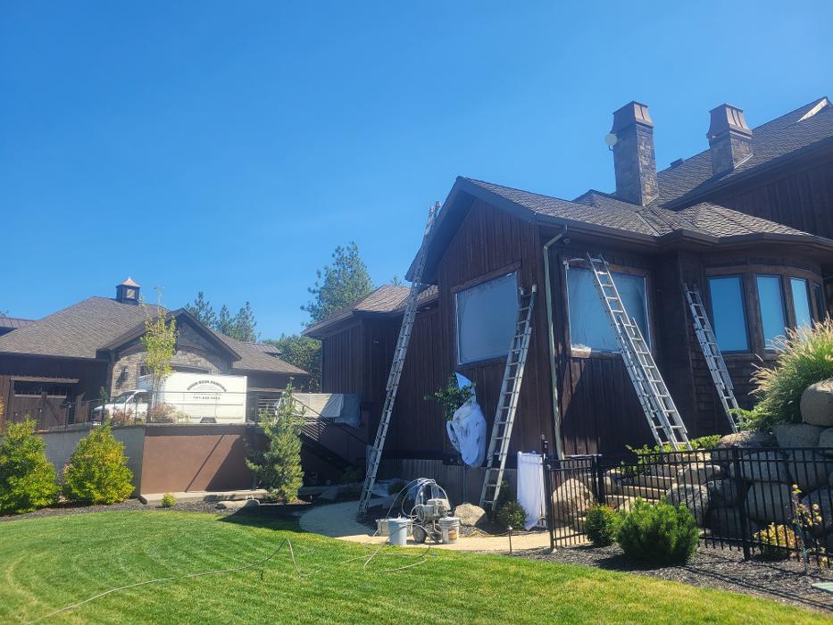 Chris Silva Painting Image