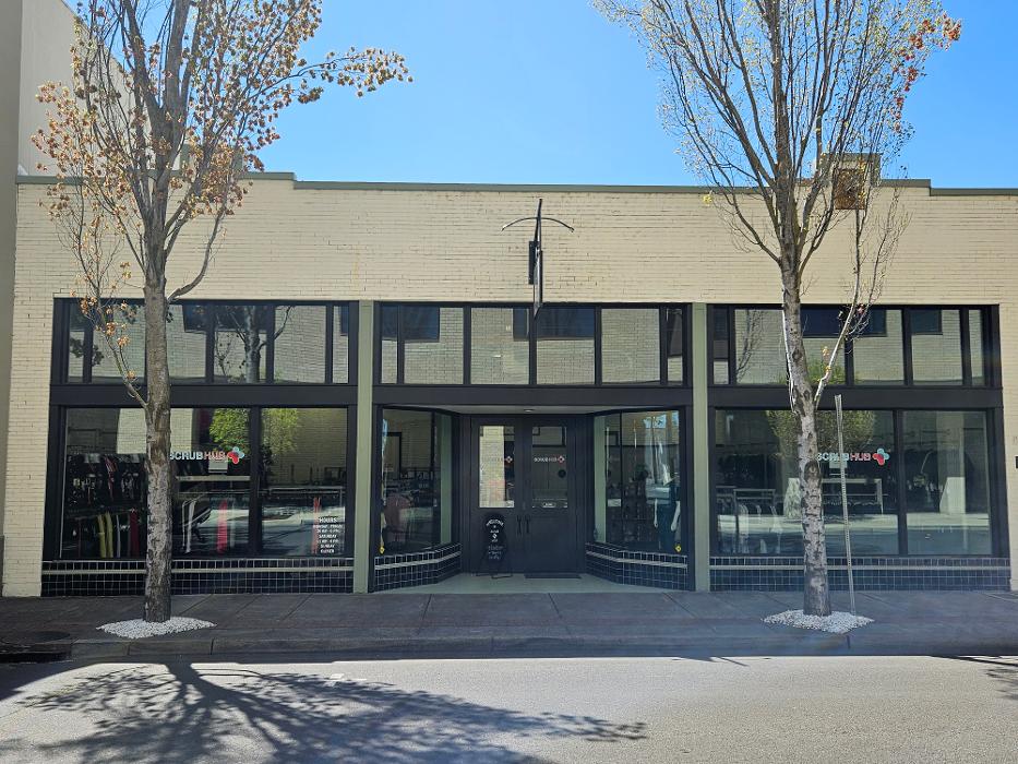 Chris Silva Painting Image