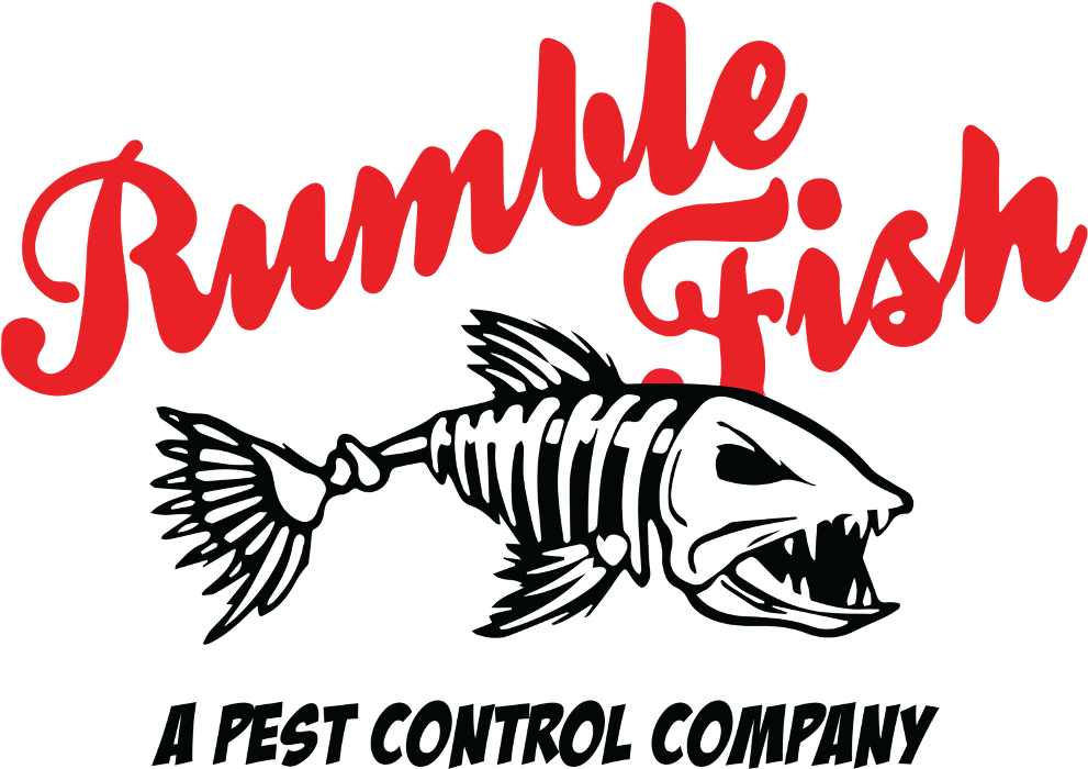 Rumble Fish Pest Control