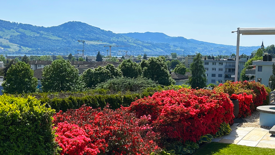 Fritschi Gartenbau AG, Kanalweg in Hombrechtikon