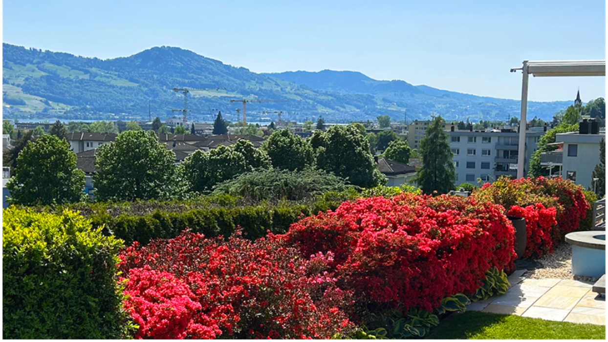 Fritschi Gartenbau AG - Gartenumänderungen Goldküste, Kanalweg in Hombrechtikon