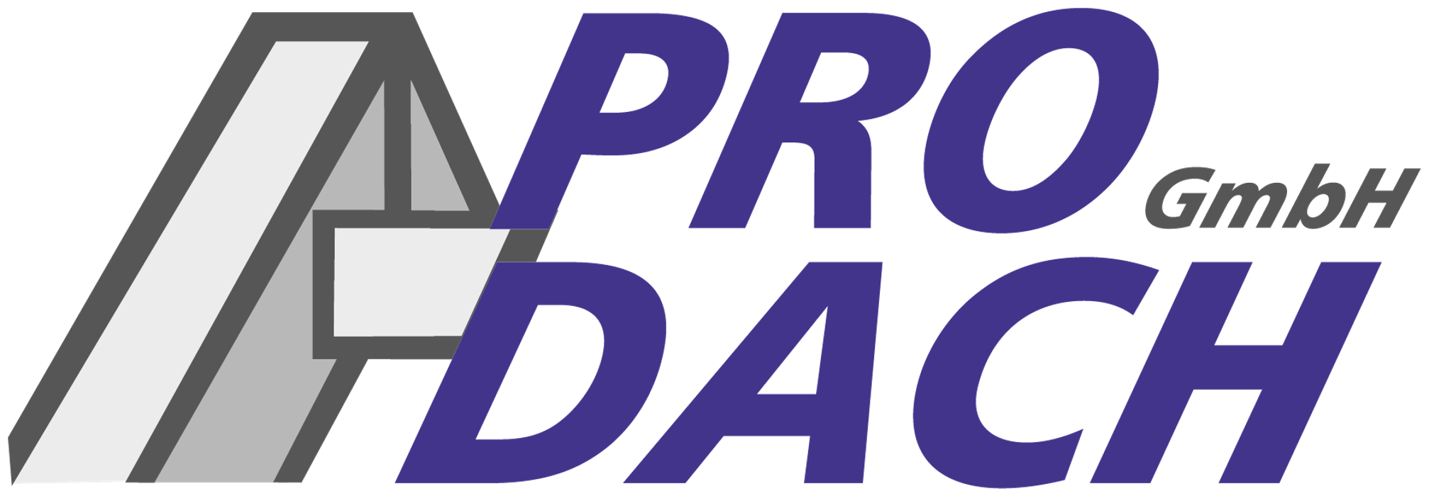 Pro Dach GmbH Patrick Rings
