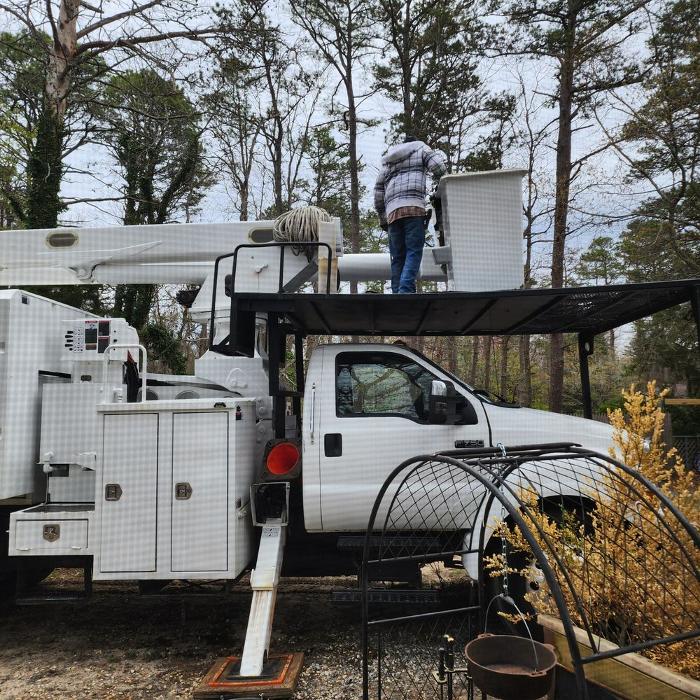 Harry Hannah Tree Service Logo