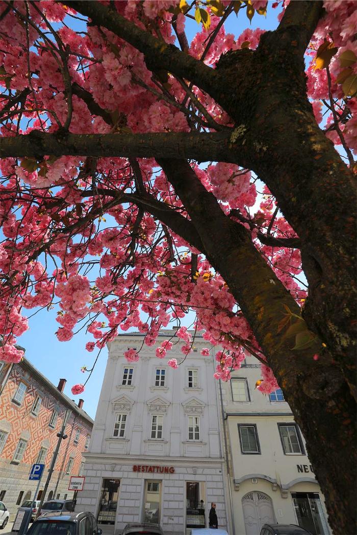 Bestattung der Stadt Wels GmbH, Stadtplatz in Wels