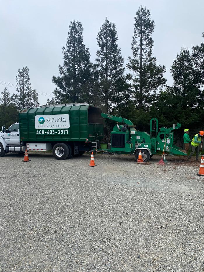 Zazueta Tree Specialists Image