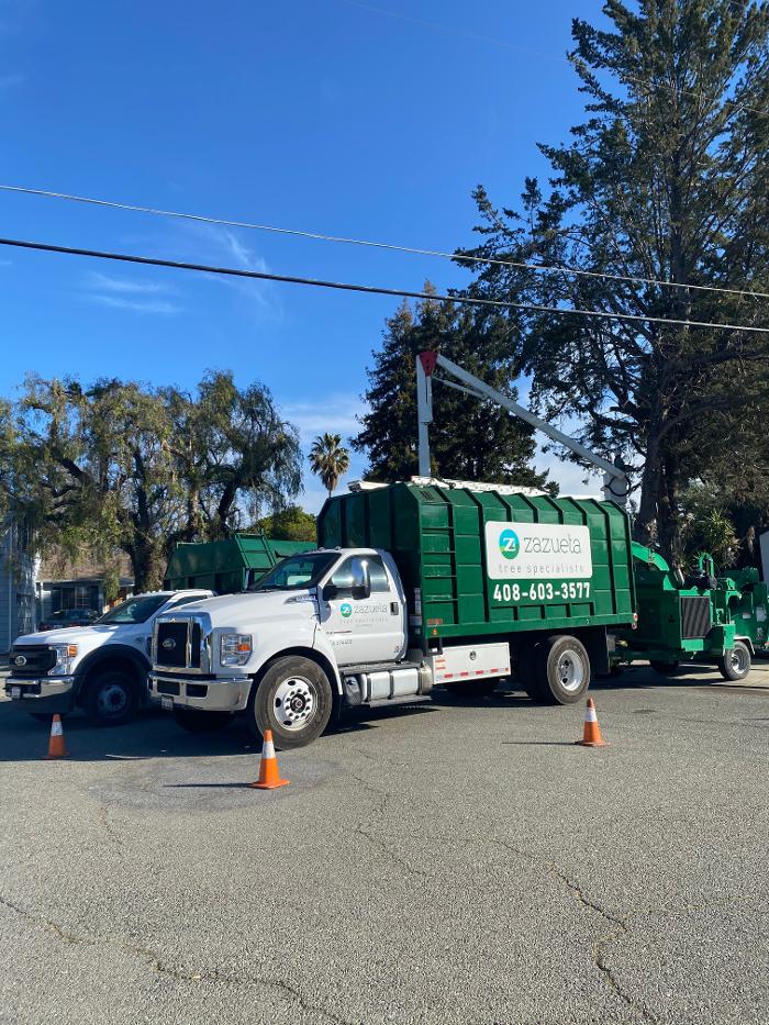 Zazueta Tree Specialists Image