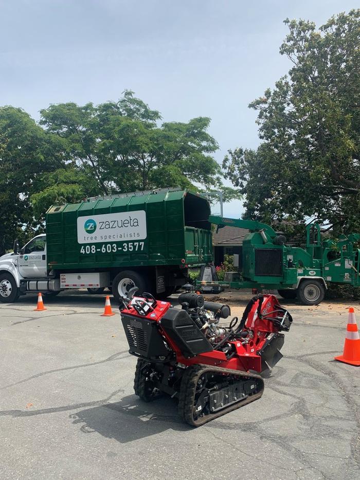 Zazueta Tree Specialists Image