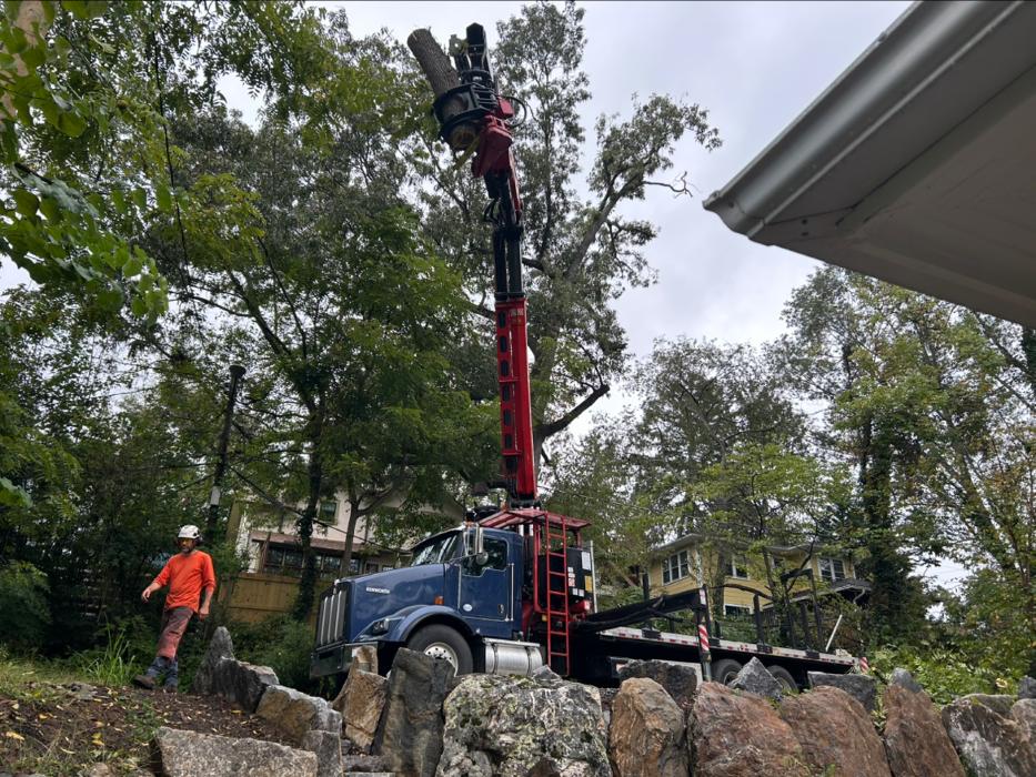Earthworks Tree Services, INC