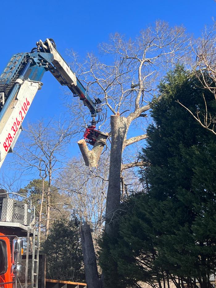 Sweet’s Tree Service LLC Image