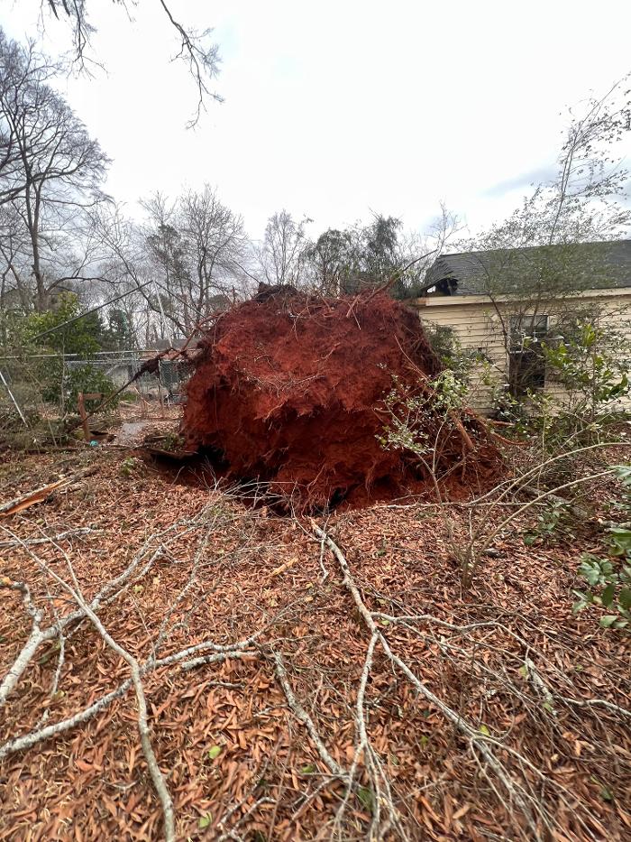 Sweet’s Tree Service LLC Image