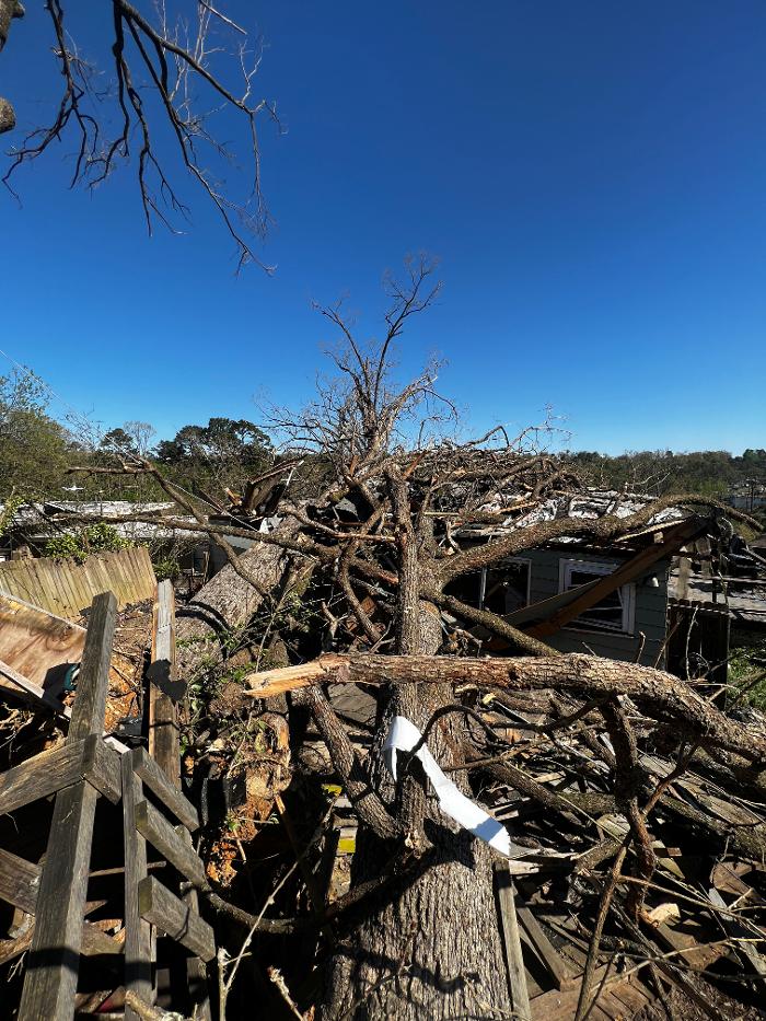 Sweet’s Tree Service LLC Image