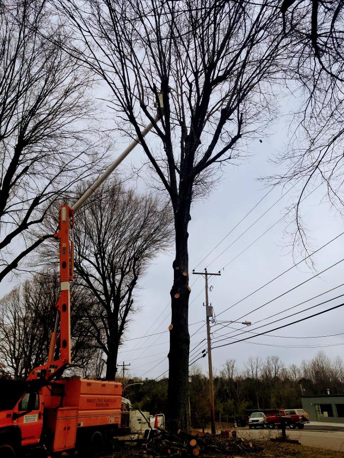 Sweet’s Tree Service LLC Image