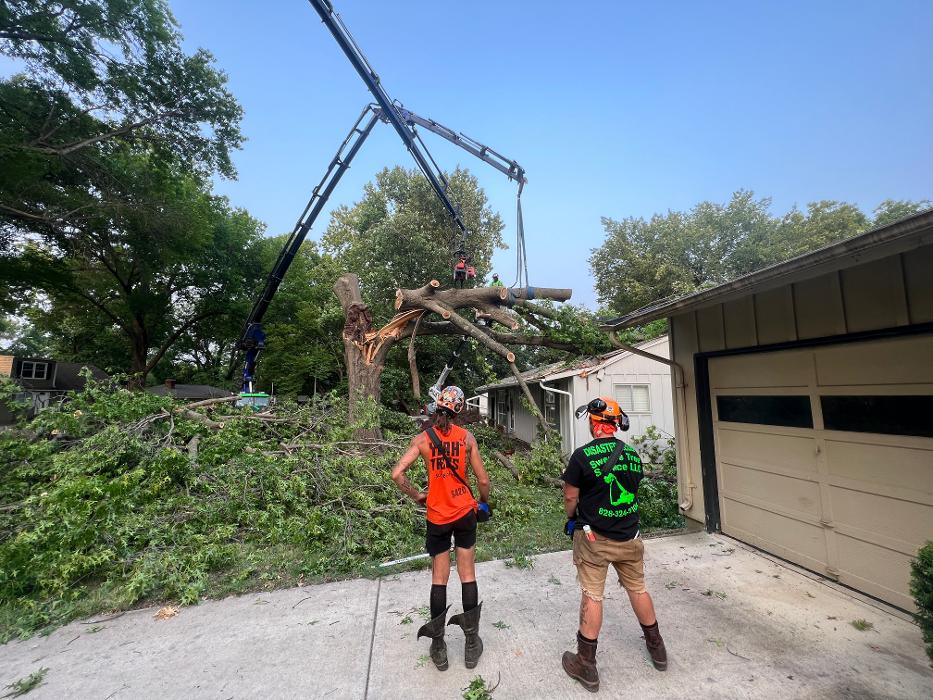 Sweet’s Tree Service LLC Image