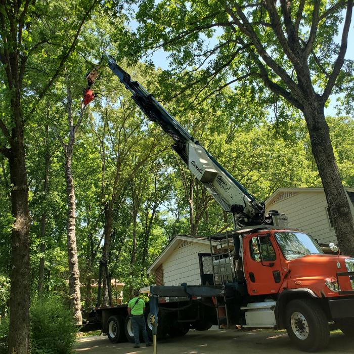 Sweet’s Tree Service LLC Image