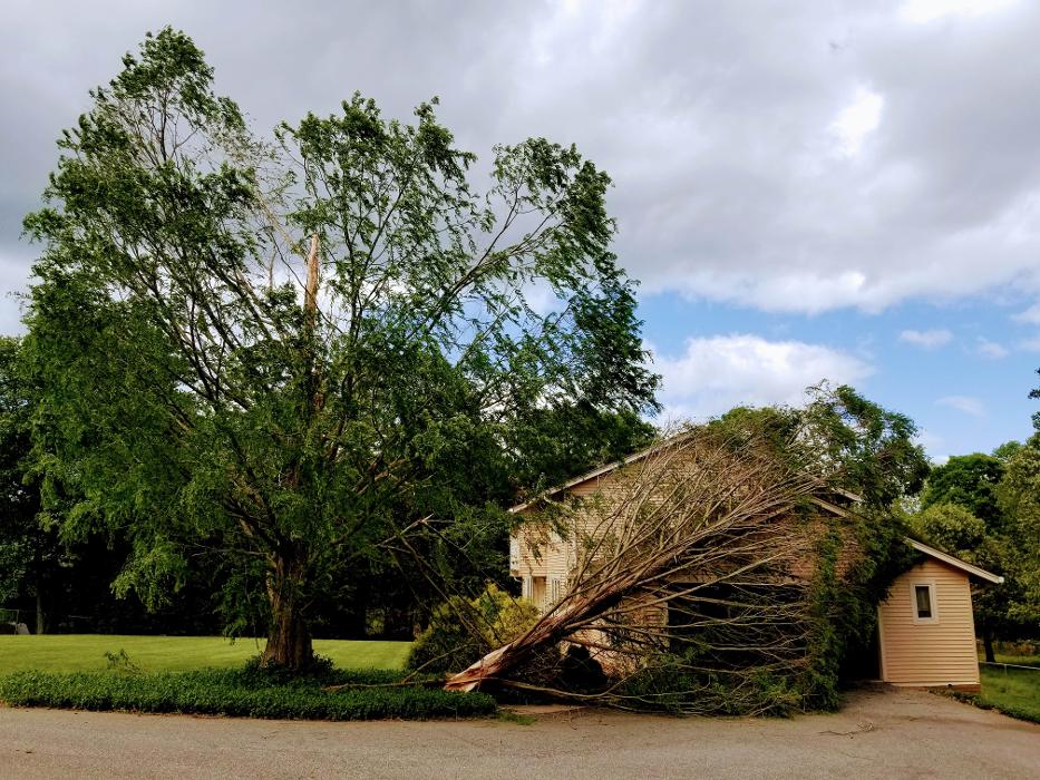 Sweet’s Tree Service LLC Image