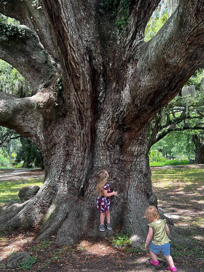 Sweet’s Tree Service LLC Image