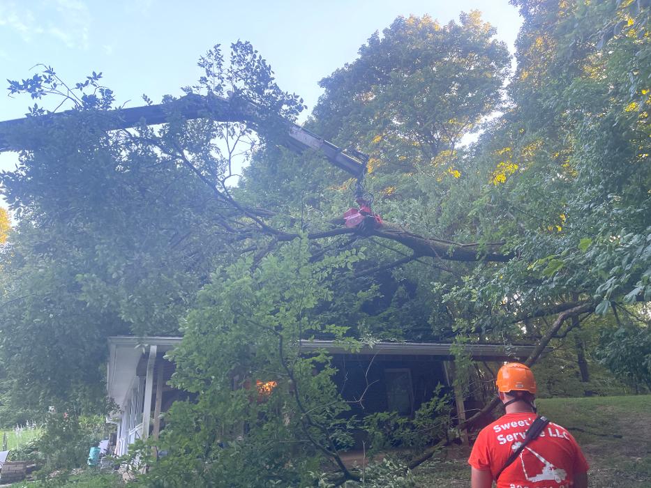 Sweet’s Tree Service LLC Image