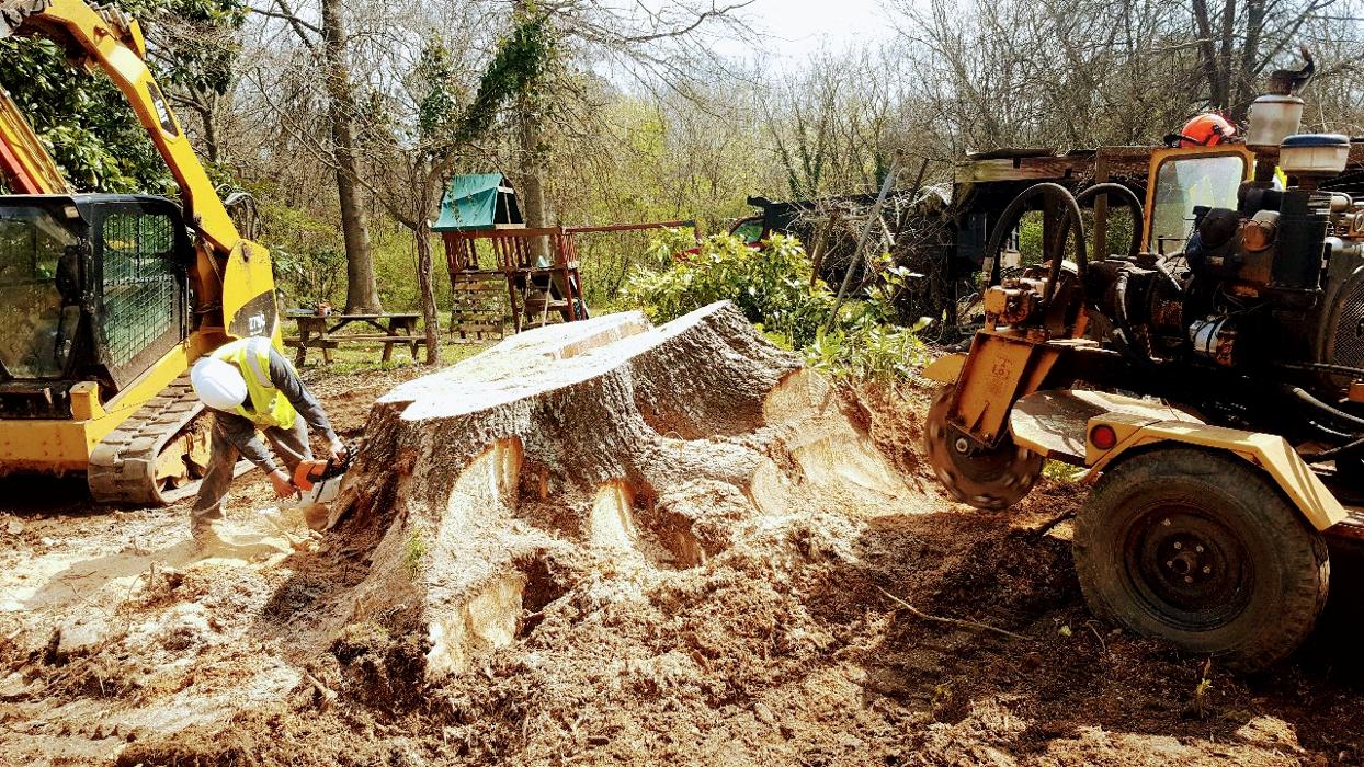 Sweet’s Tree Service LLC Image