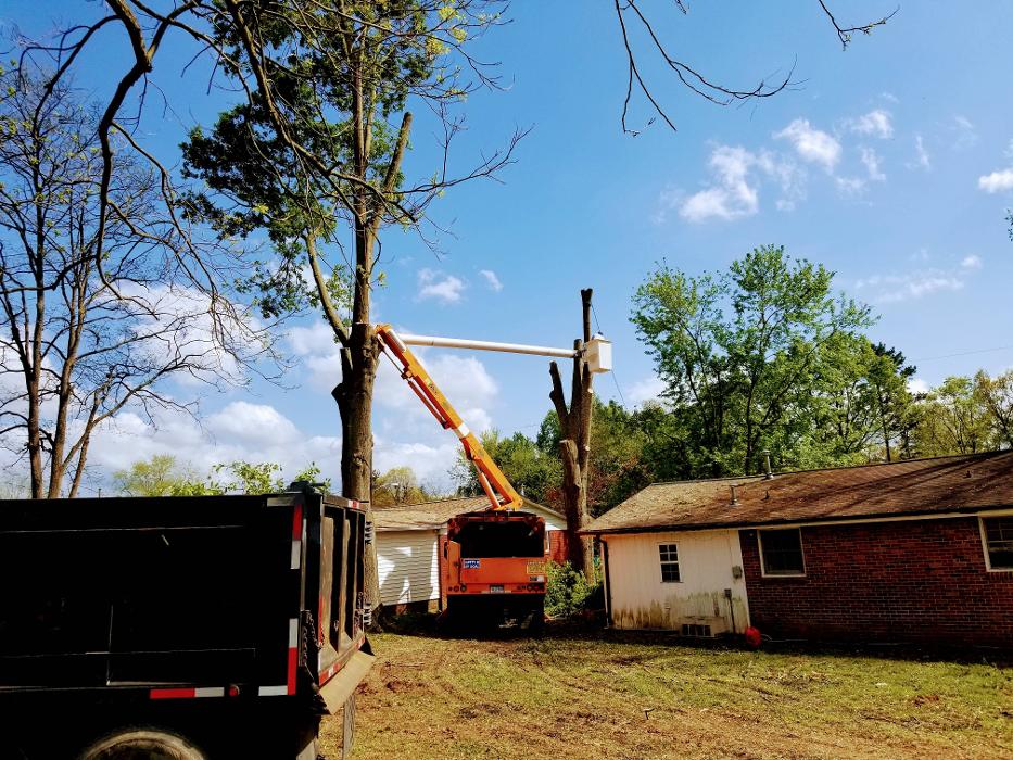 Sweet’s Tree Service LLC Image