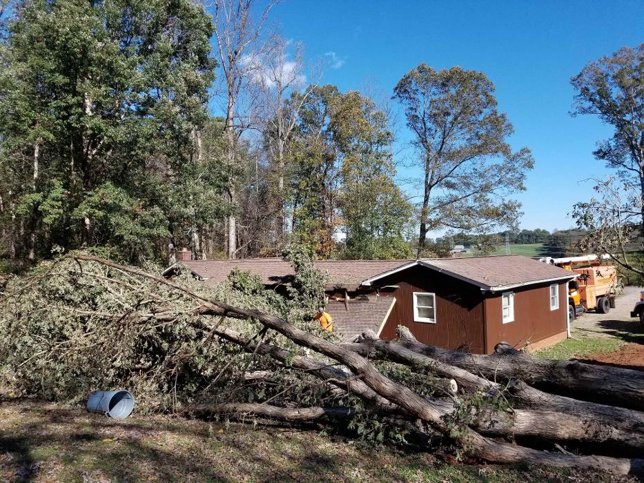 Sweet’s Tree Service LLC Image