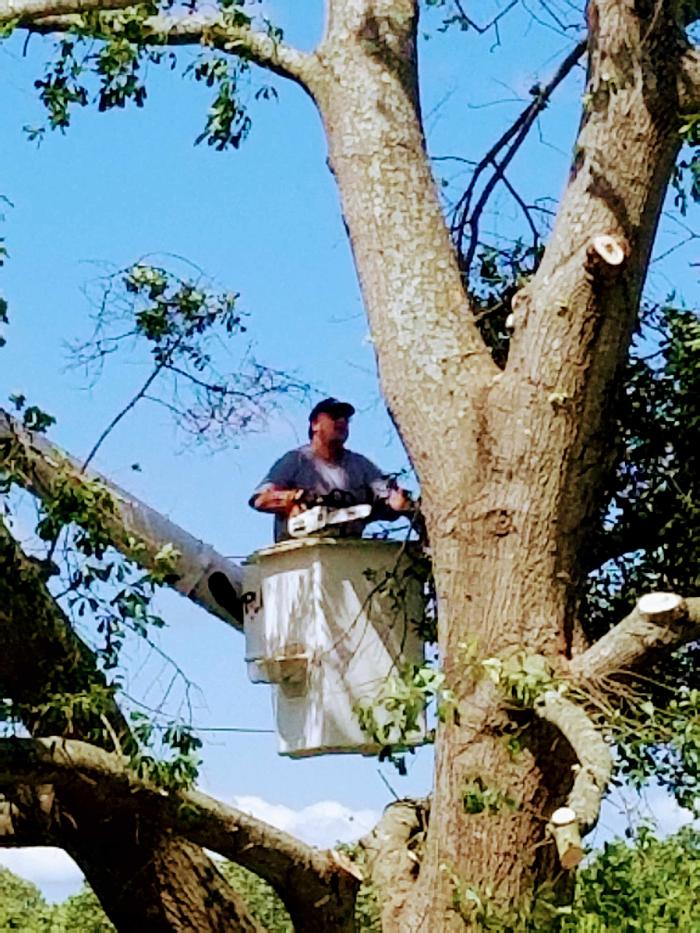 Sweet’s Tree Service LLC Image