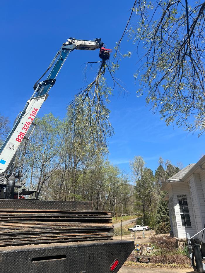 Sweet’s Tree Service LLC Image