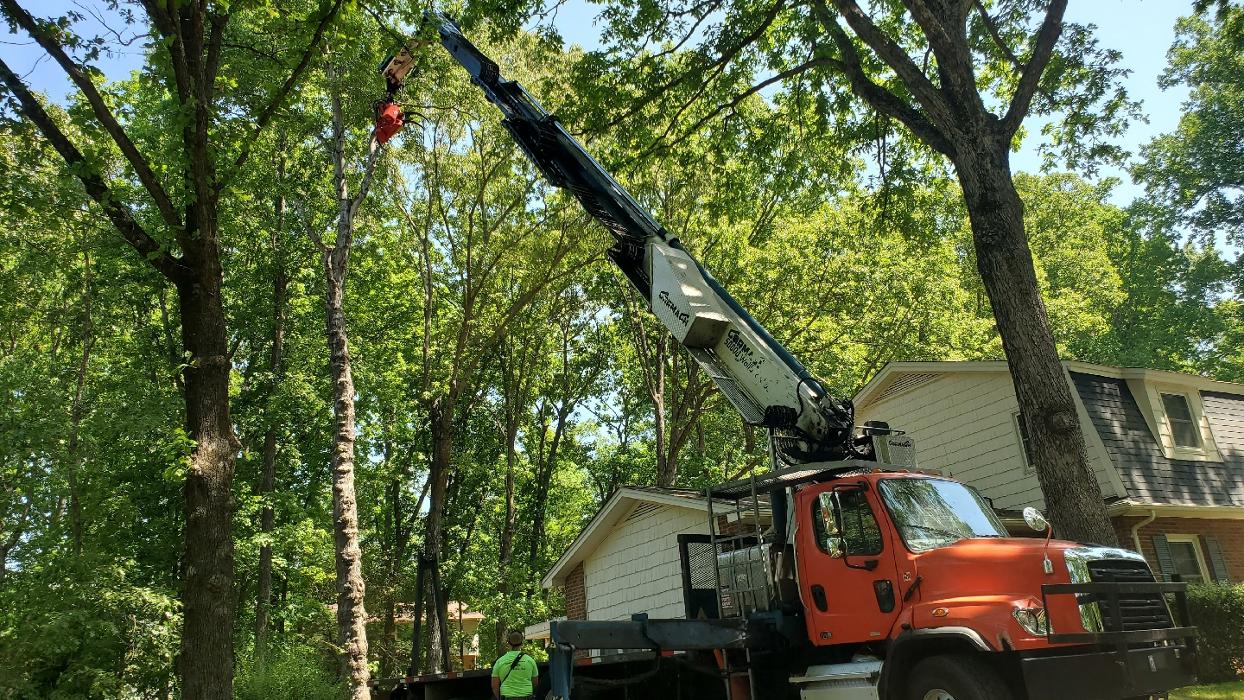 Sweet’s Tree Service LLC Image