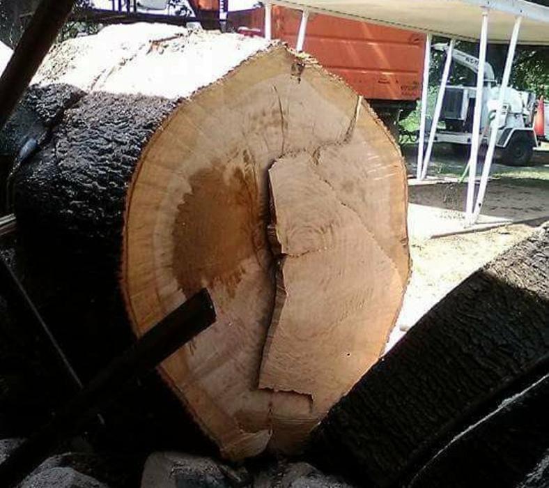 Sweet’s Tree Service LLC Image