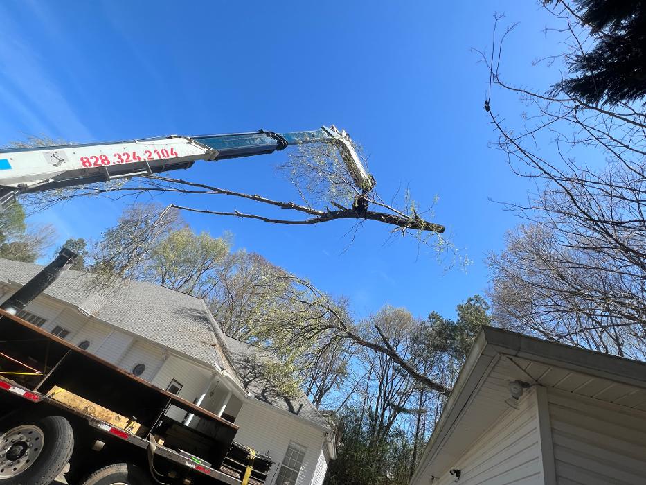 Sweet’s Tree Service LLC Image